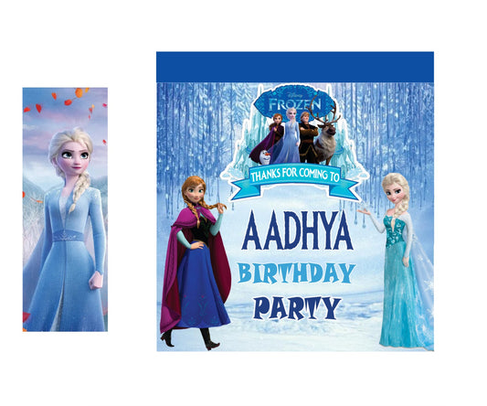 Frozen Theme Birthday Party Gift Bags For Return Gifts