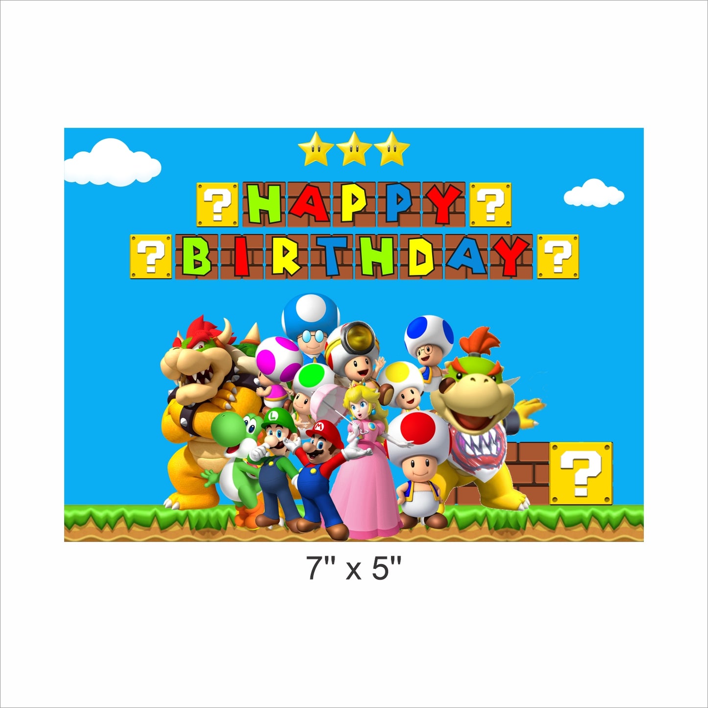 Super Mario Theme Birthday Party Backdrop
