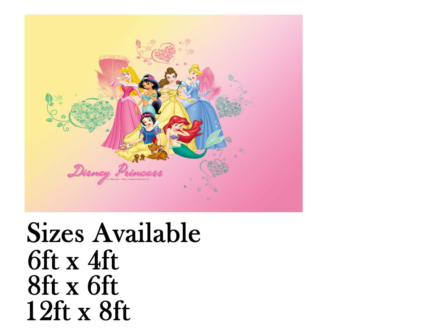 Princess Theme Birthday Cake Table Cover