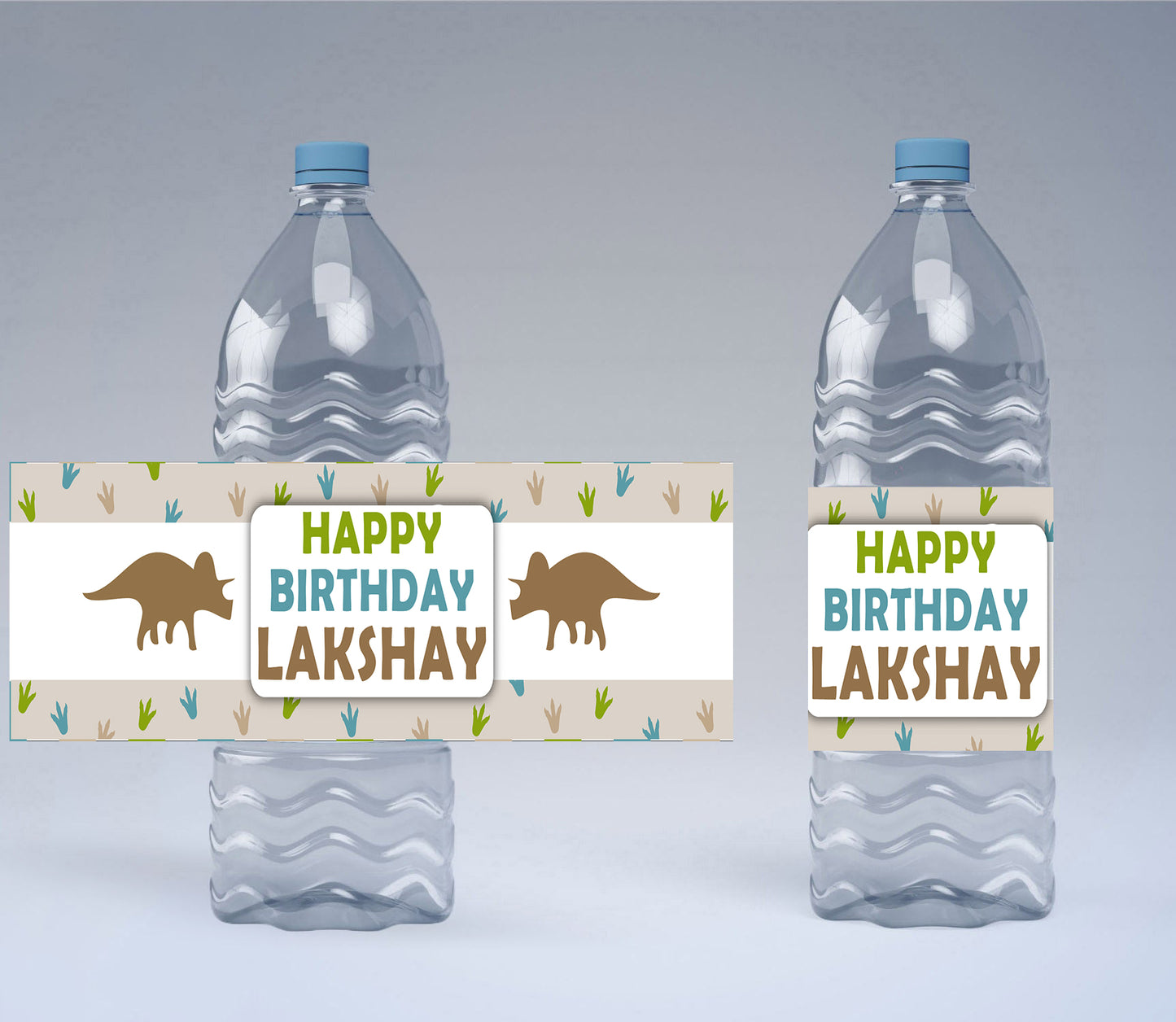 DINOSAUR THEME WATER BOTTLE LABELS
