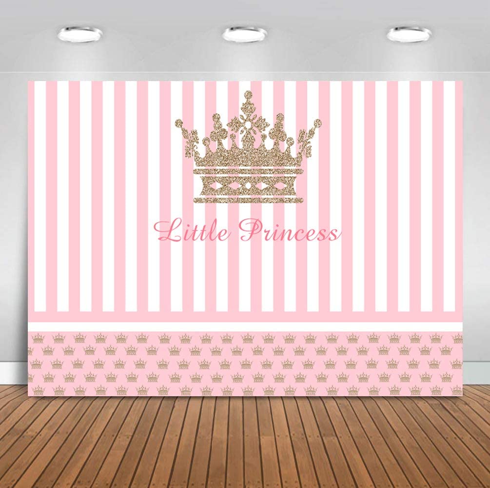 Princess Birthday Party Backdrop