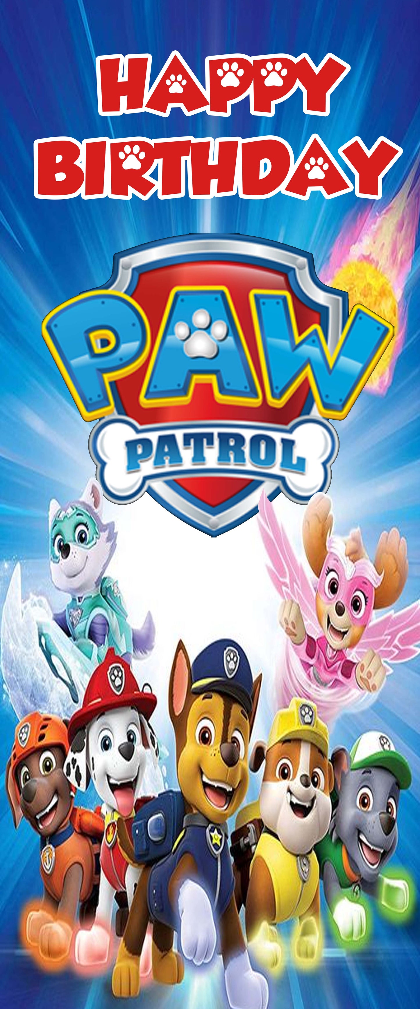 Paw Patrol Welcome Banner Roll up Standee (with stand)