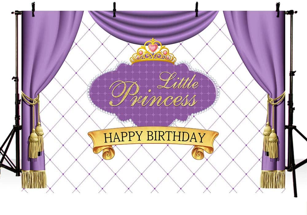 Princess Birthday Party Backdrop