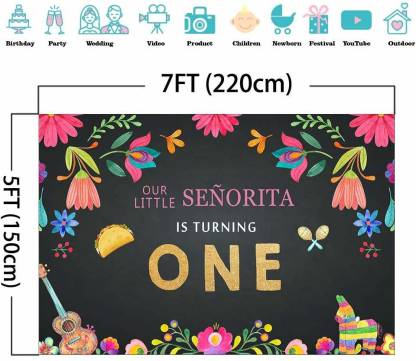 One is fun First Birthday Party Backdrop For Girls