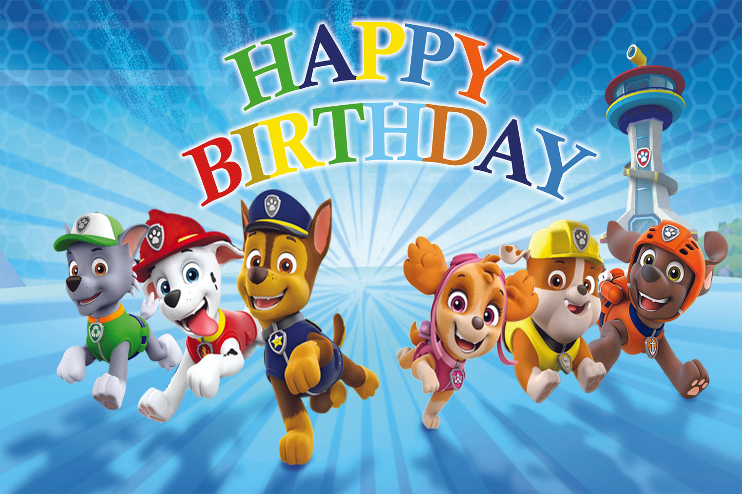 Paw Patrol Theme Birthday Party Backdrop