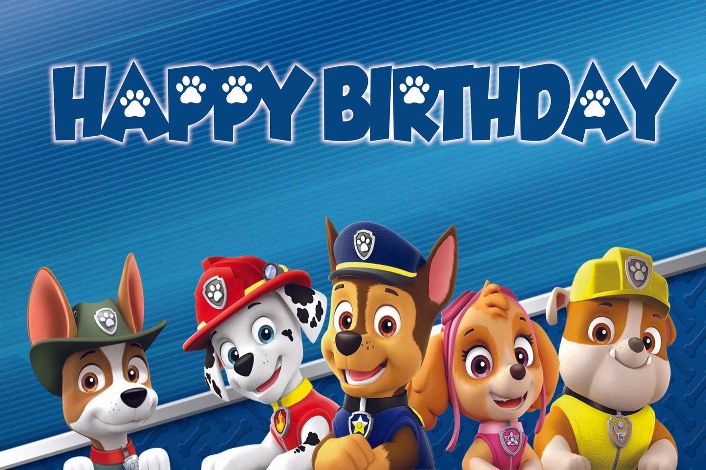 Paw Patrol Theme Birthday Party Backdrop