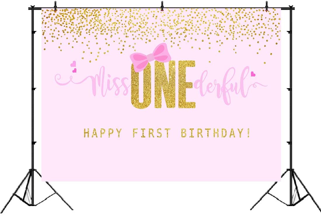 One Is Fun First Birthday Backdrop for Girls