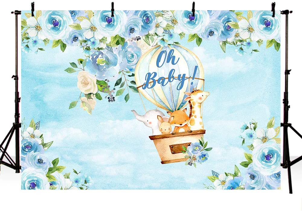 Hot Air Theme Birthday Party Backdrop