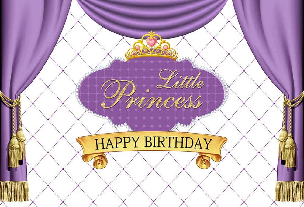 Princess Birthday Party Backdrop