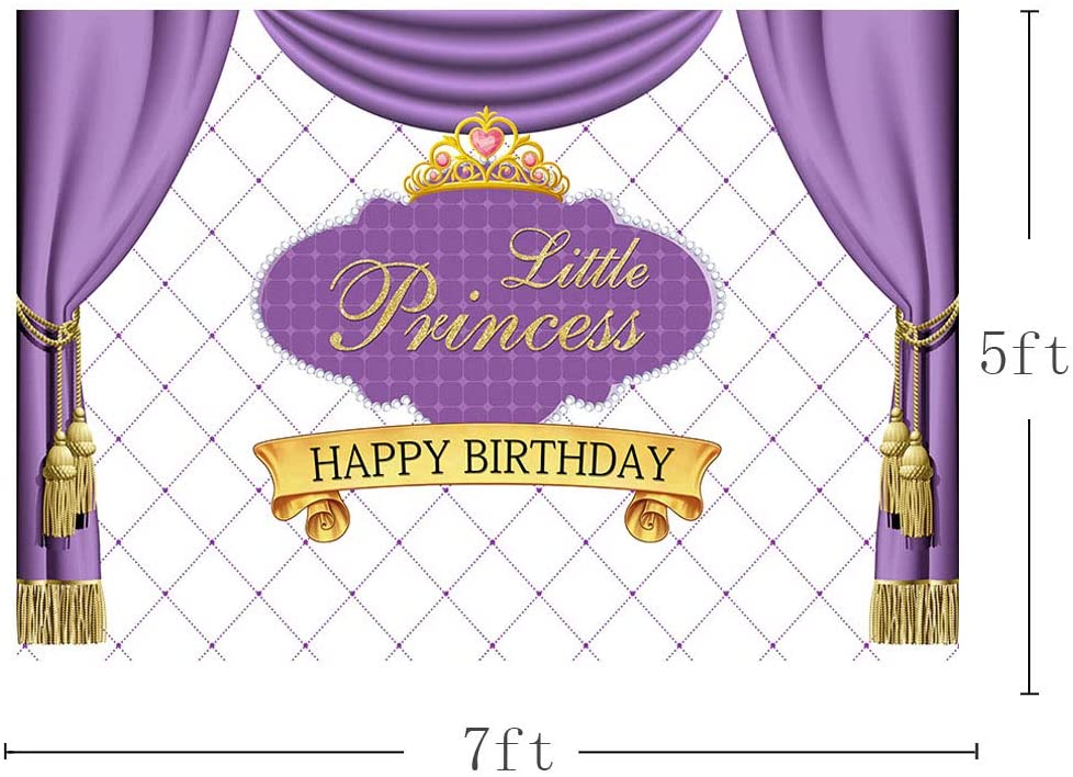 Princess Birthday Party Backdrop