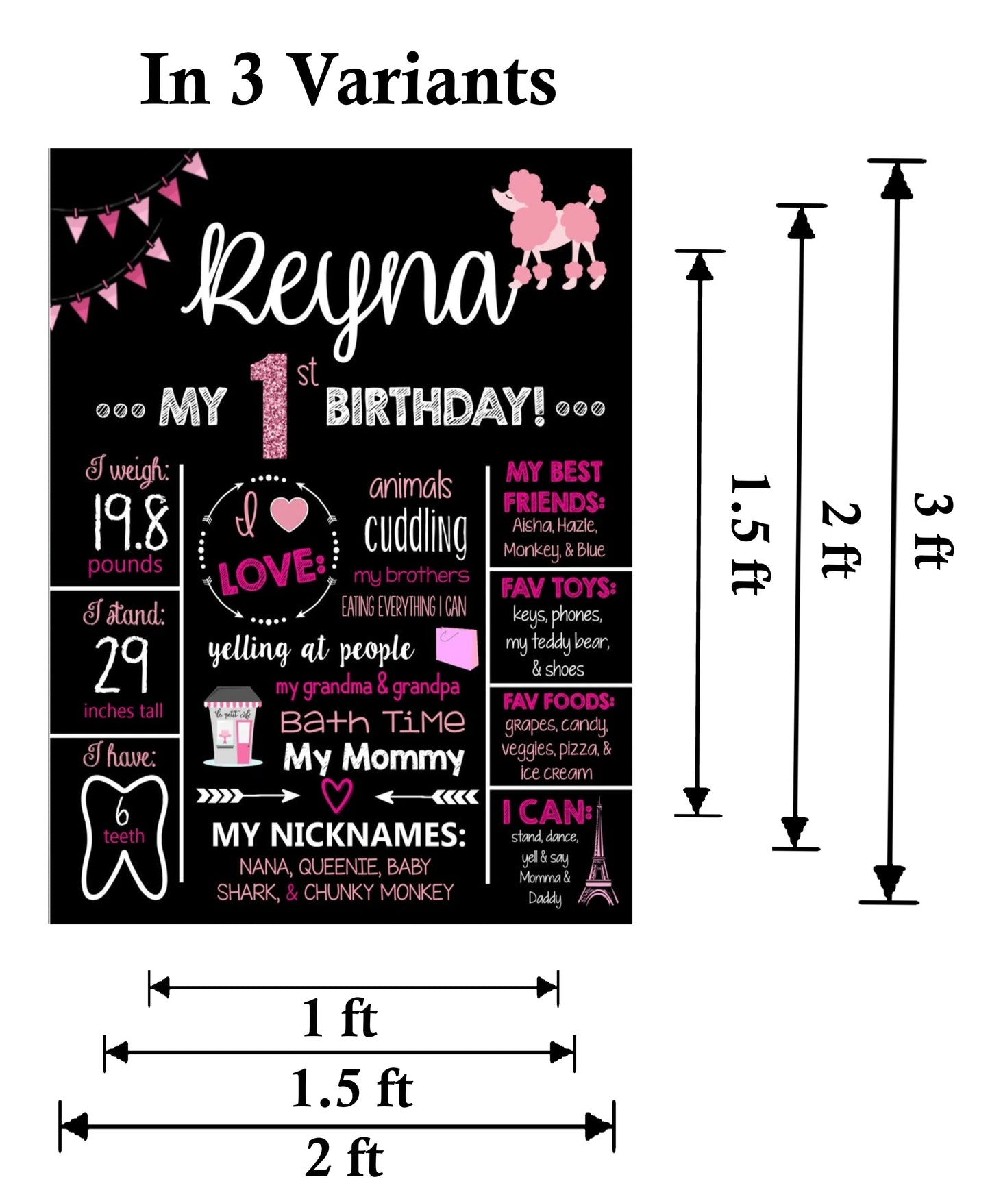 Paris Theme Customized Chalkboard/Milestone Board for Kids Birthday Party
