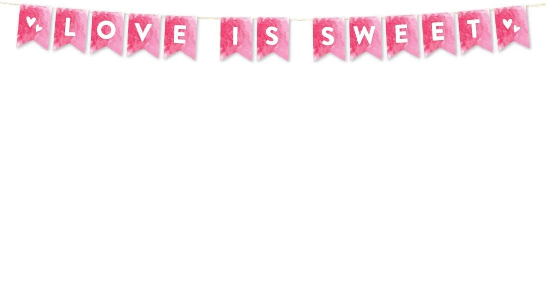 Pink Hanging Pennant Party Banner With String