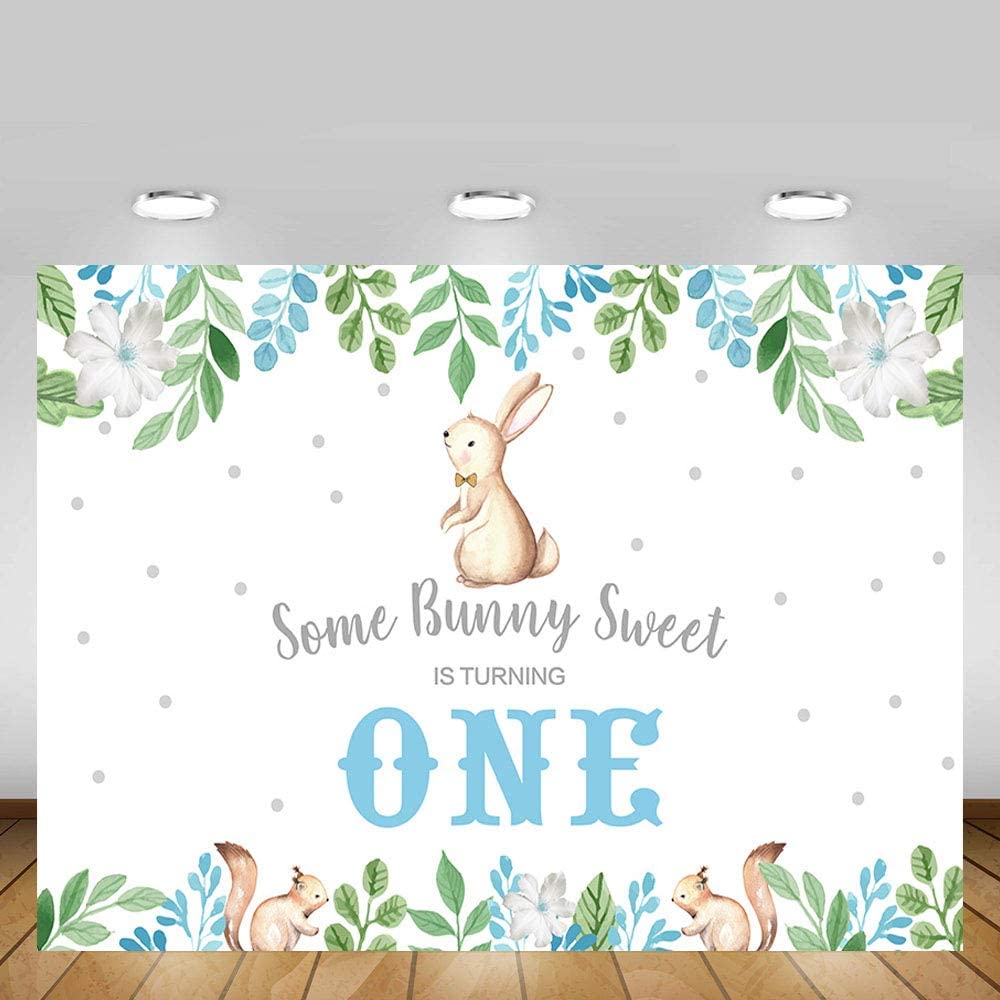 Some Bunny Is One Birthday Party Backdrop
