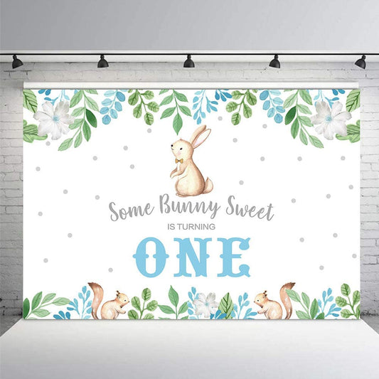 Some Bunny Is One Birthday Party Backdrop