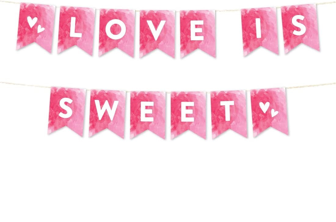 Pink Hanging Pennant Party Banner With String