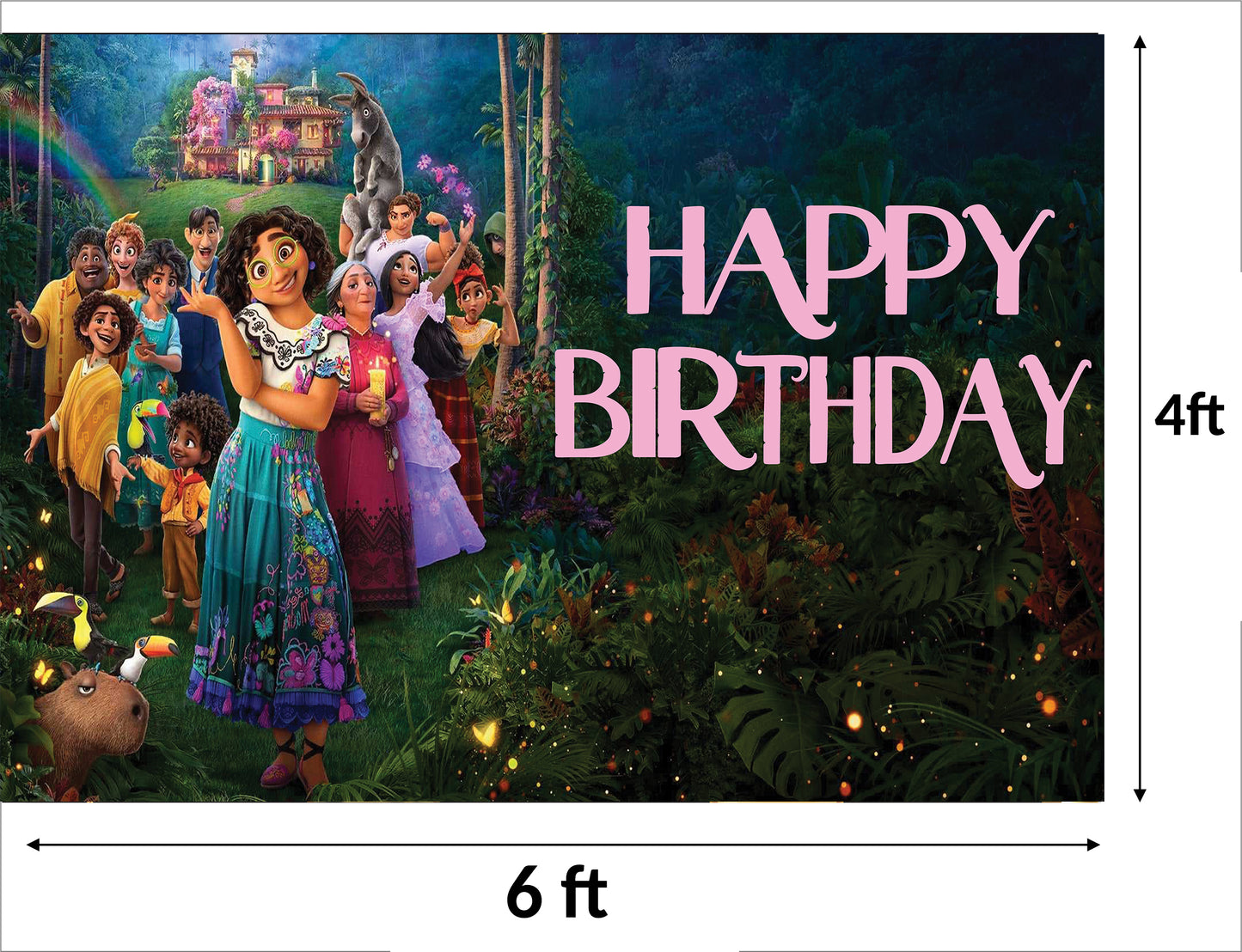 Encanto Theme Birthday Party Backdrop