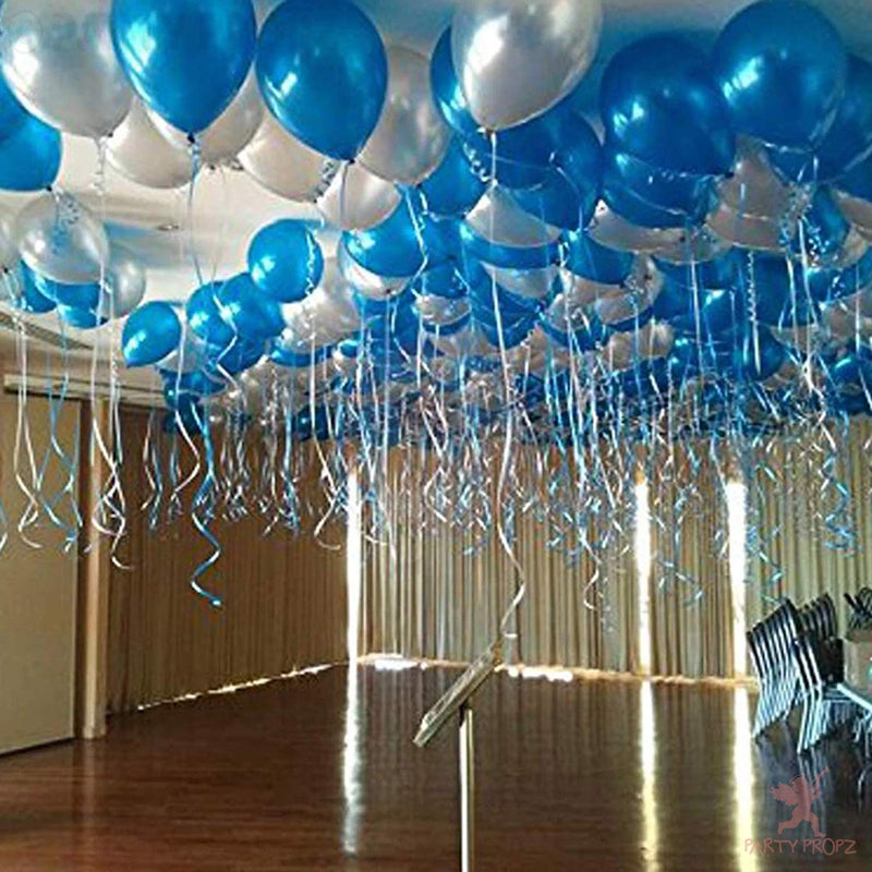Blue And Silver Decorations-Banner, Foil Balloons And Fringe Curtain Decorations