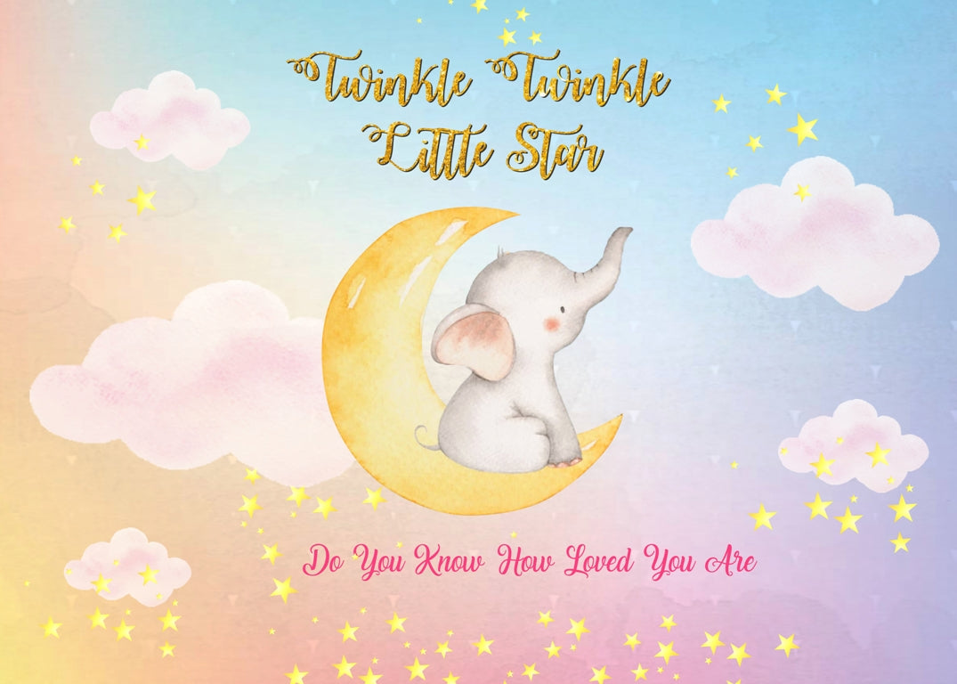 Twinkle Twinkle Little Star Girls Theme Party Backdrop