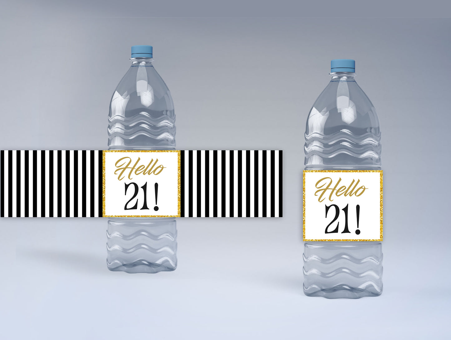 21st Birthday Water Bottle Labels