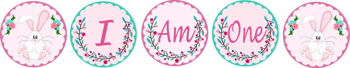 Some Bunny Is One I Am One Banner Birthday Decoration
