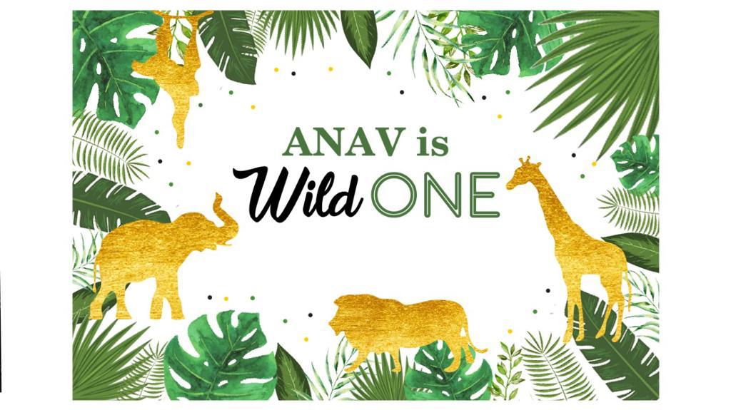 Wild One Birthday Party Backdrop
