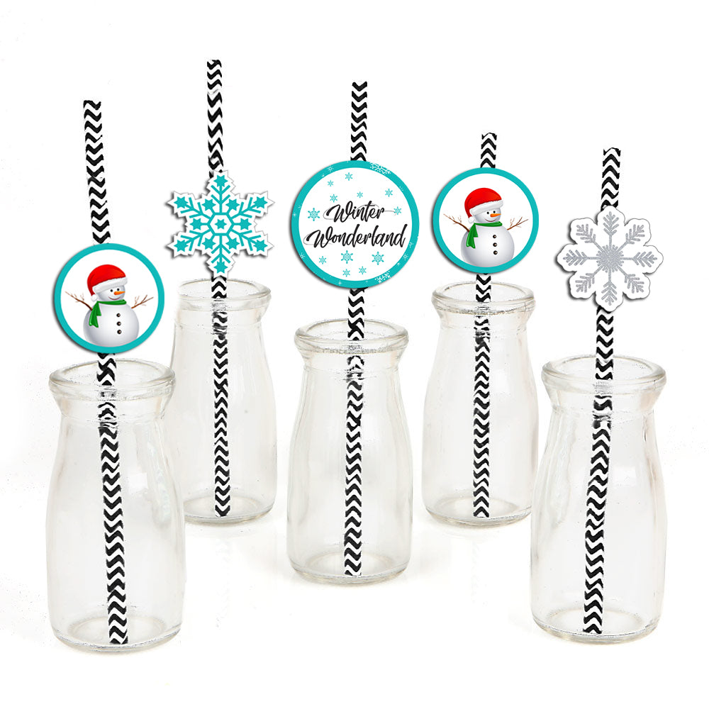 Winter Wonderland Theme Birthday Party Paper Decorative Straws