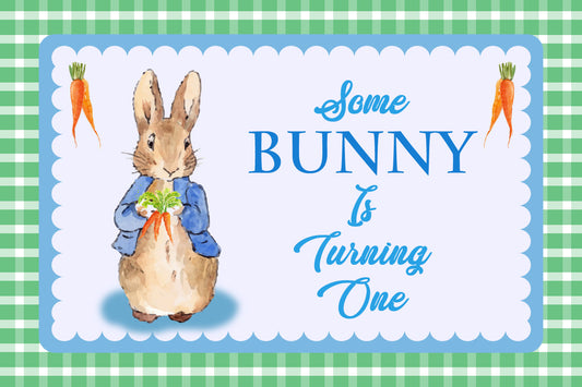 Some Bunny Is One Birthday Table Mats for Decoration