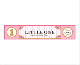 One Is Fun First Birthday Long Banner for Decoration