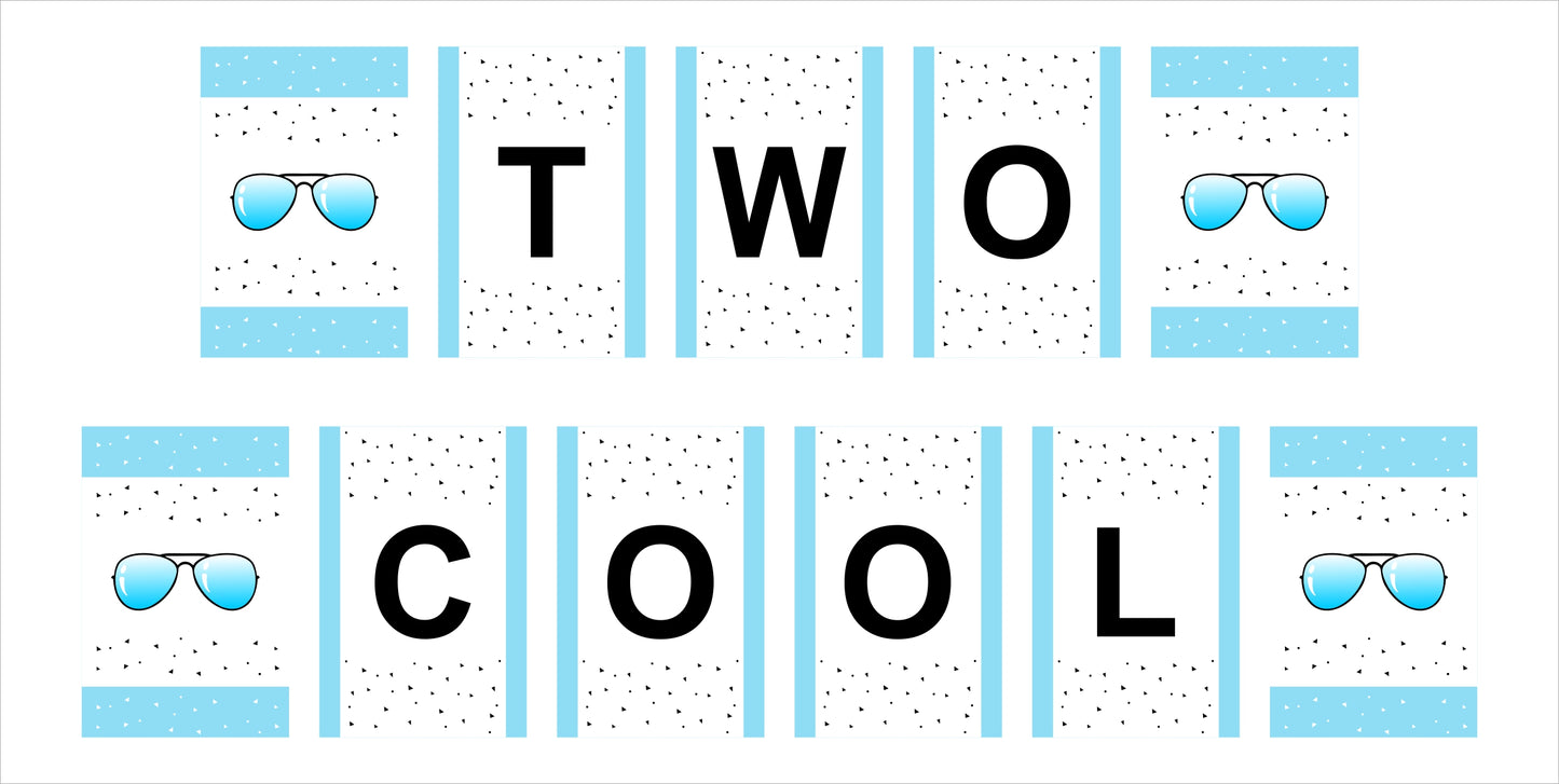 Two Cool Boys Second Birthday Banner For Decoration