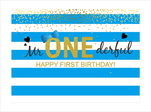 One Is Fun Birthday Party Backdrop Banner Boys Birthday Party