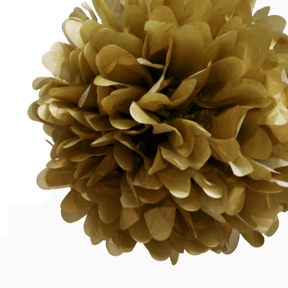 White Pink And Golden Pompom Girls Party