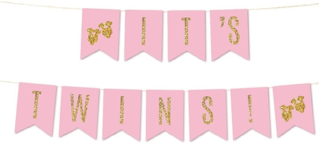 Its Twin Baby Welcome Banner Bunting & Garland Photo Booth Props Decoration