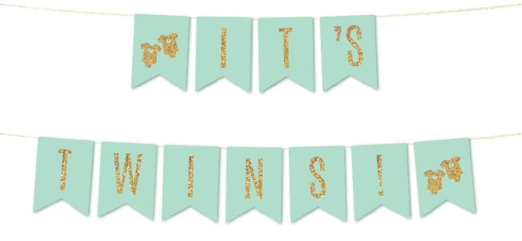 Its Twin Baby Welcome Banner Bunting & Garland Photo Booth Props Decoration