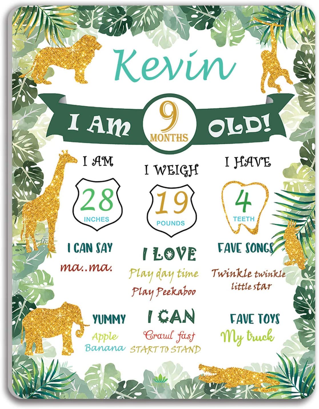 Wild Safari Birthday Party Personalized Complete Kit