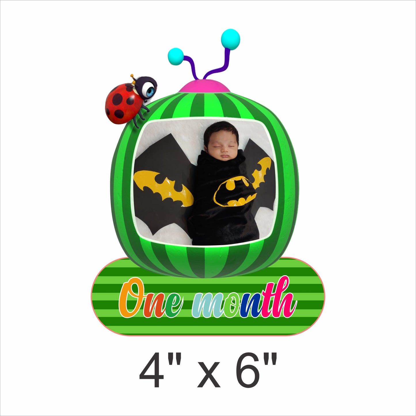 Cocomelon Theme Birthday Party 12 Months Photo Banner
