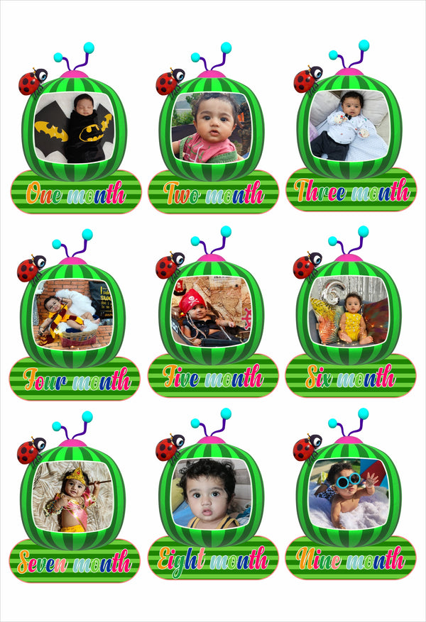 Cocomelon Theme Birthday Party 12 Months Photo Banner