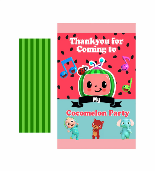 Cocomelon Theme Birthday Party Gift Bags For Return Gifts