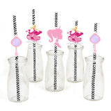 Barbie Birthday Party Paper Decorative Straws