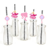 Barbie Birthday Party Paper Decorative Straws