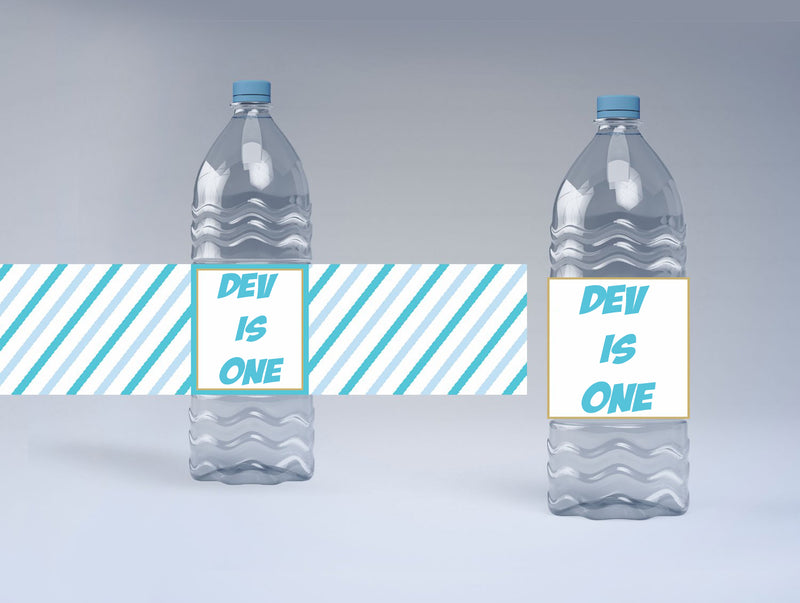 Fun Is One Theme Water Bottle Labels  