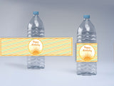 First Trip Around the Sun Theme Birthday Party Water Bottle Labels