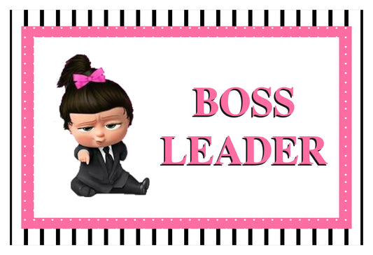 Boss Baby Girl Theme Birthday Table Mats for Decoration
