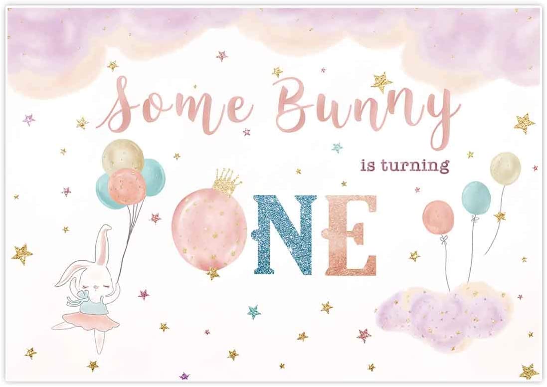 Some Bunny Is One Birthday Party Backdrop