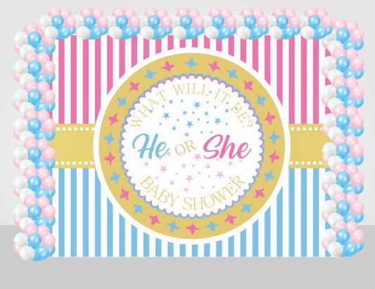 Pink Or Blue Party Decoration Kit with Backdrop & Balloons