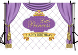 Princess Birthday Party Backdrop