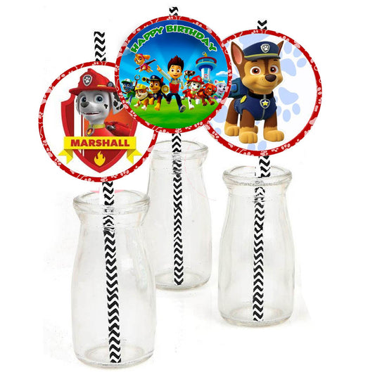 Paw Patrol Theme Birthday Party Straws