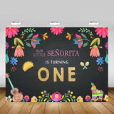 One is fun First Birthday Party Backdrop For Girls