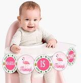Flamingo Theme Birthday Party Banner for Decoration