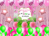 One In A Melon Theme Birthday Party Complete Party Set