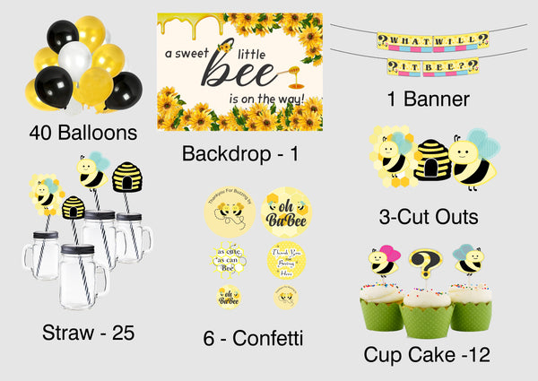 Baby Shower Complete Decoration Party Kit